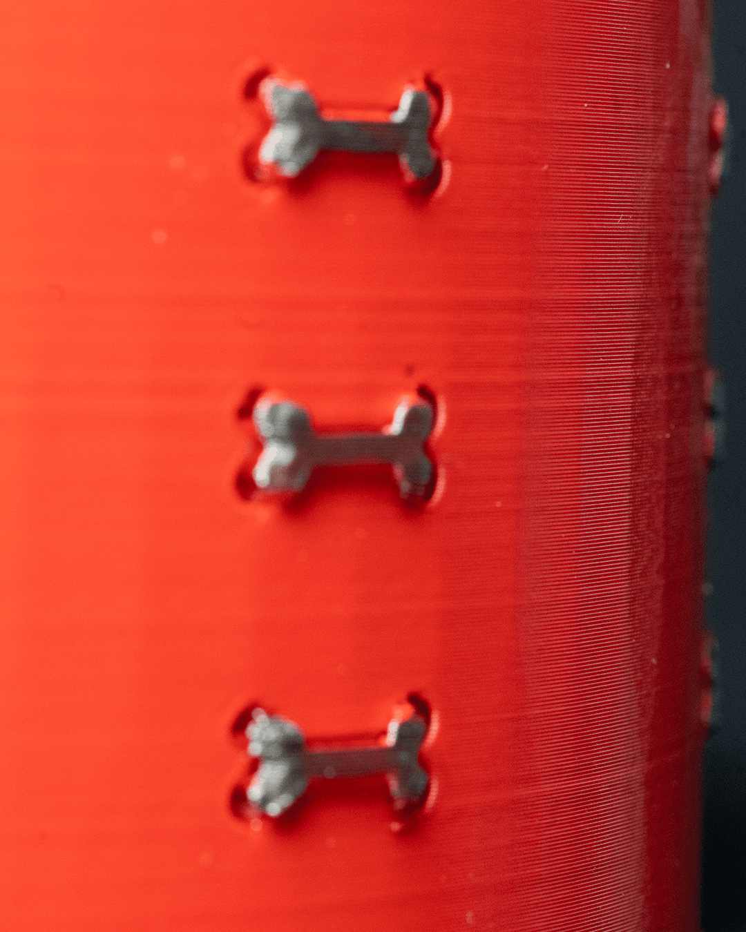 Customizable Pet Bowl