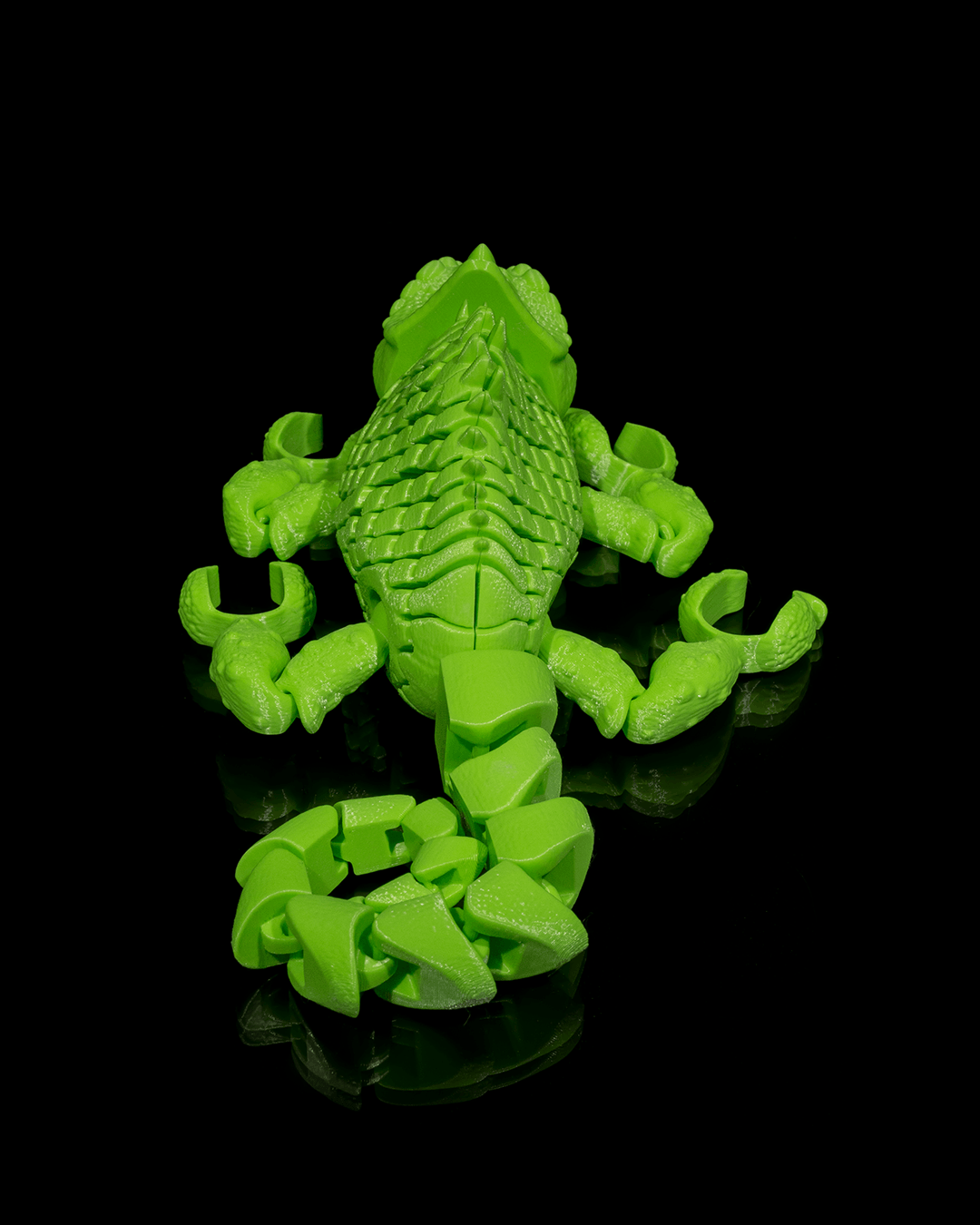 Chameleon Fidget Toy