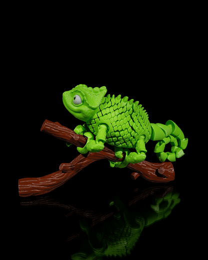 Chameleon Fidget Toy