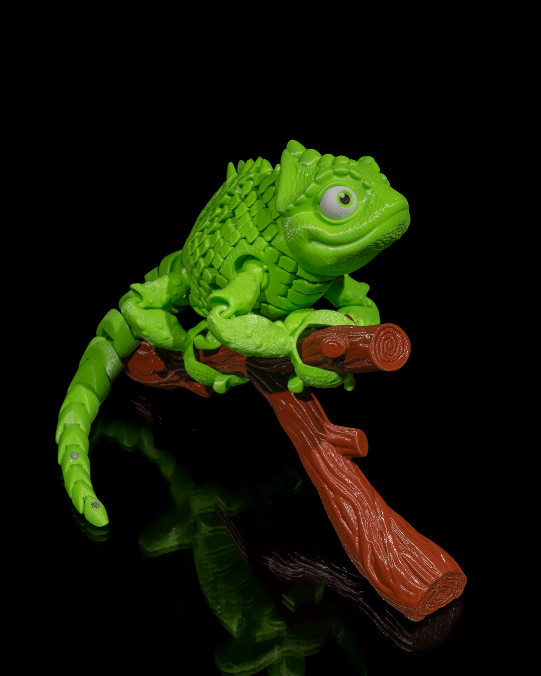 Chameleon Fidget Toy