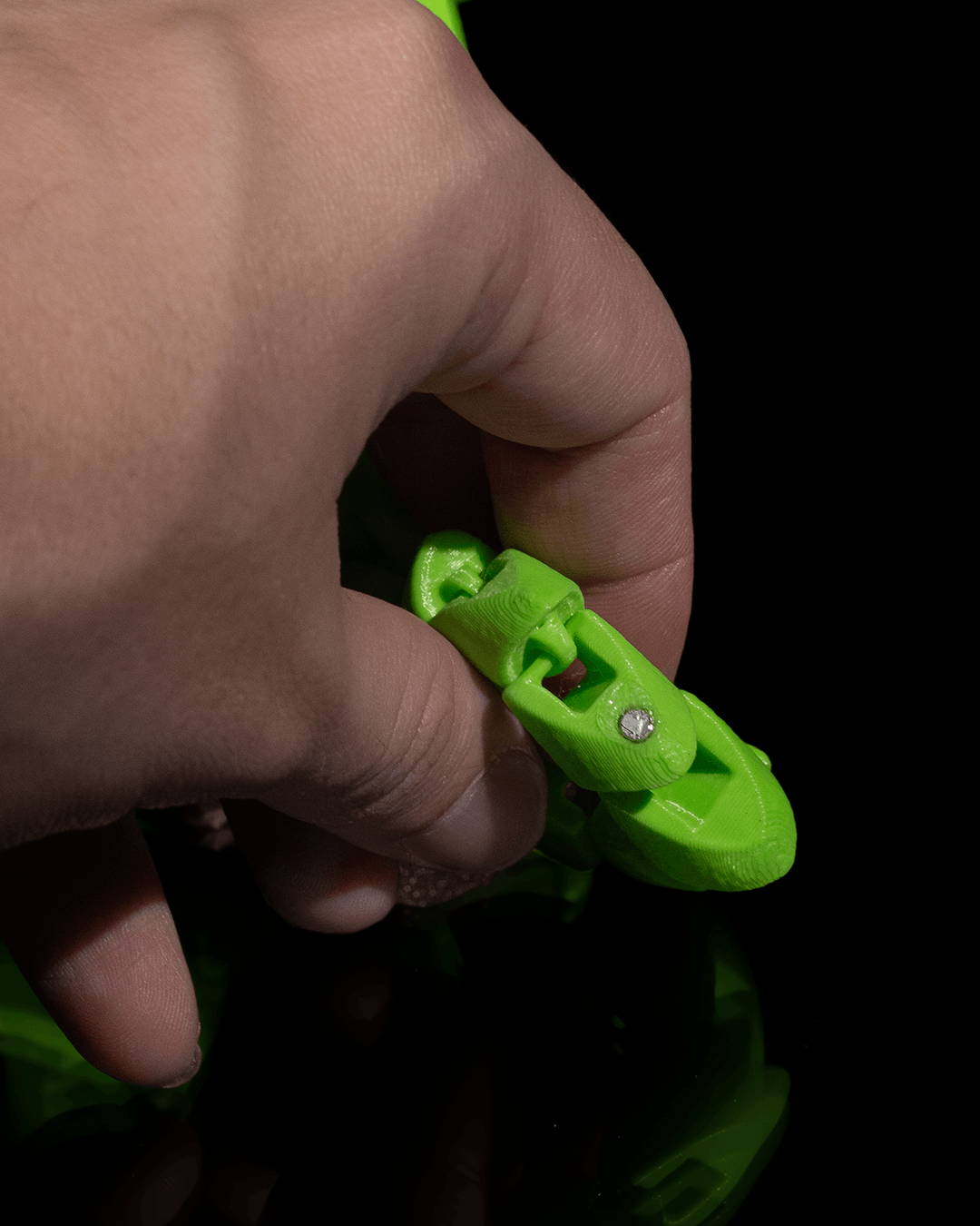 Chameleon Fidget Toy