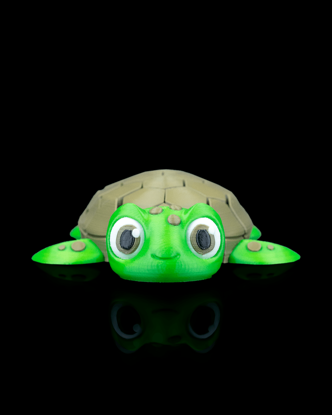Myrtle, the Turtle Fidget Toy