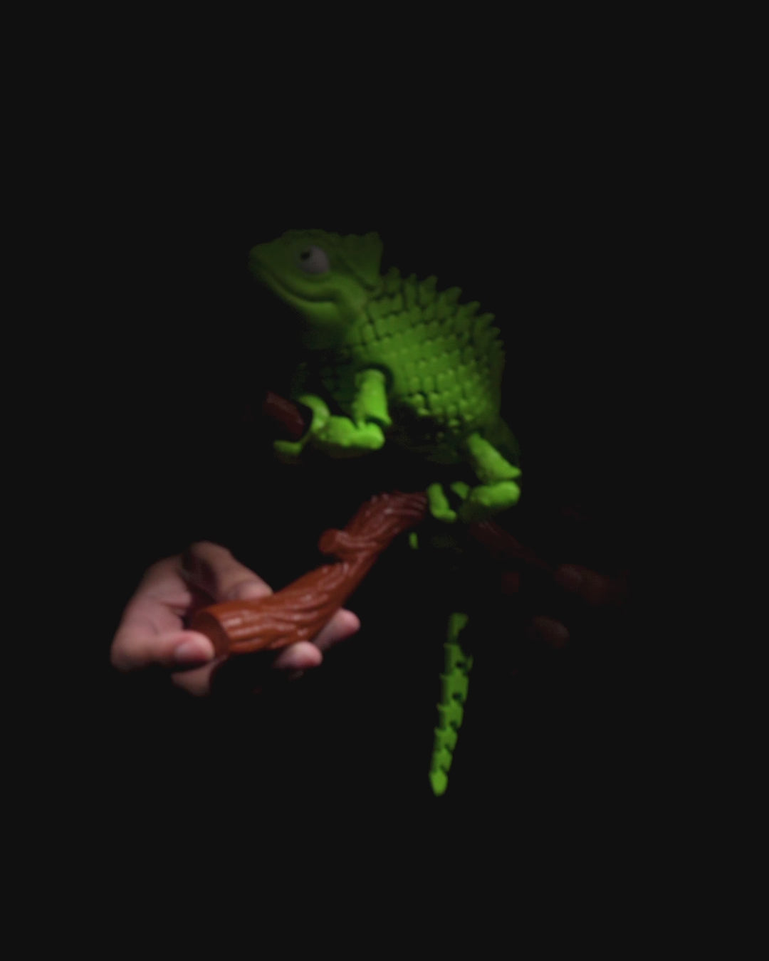 Load video: Chameleon Fidget Toy