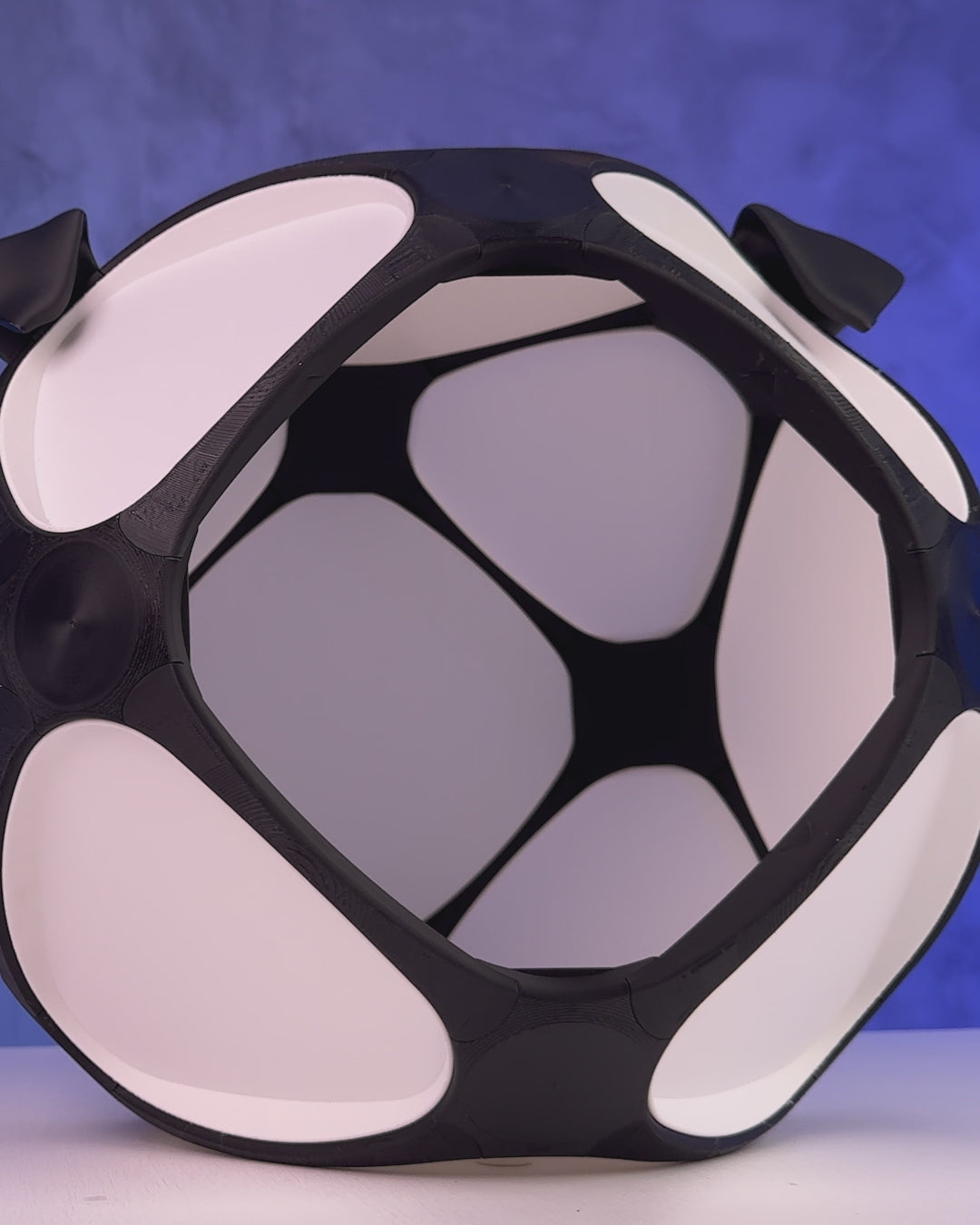 Load video: Woof Dog Pet House